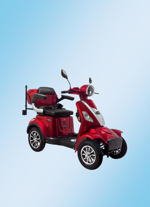 E-Trike von Rolektro